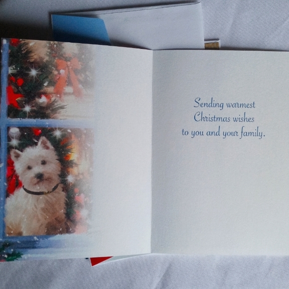 🅓🅞🅝🅐🅣🅔🅓! - Picture 6 of 16